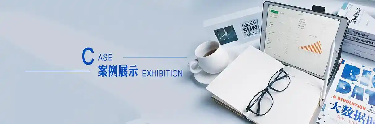 白碱滩区软件开发